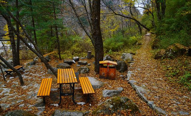 ΢ÐÅͼƬ_20171107164118.jpg