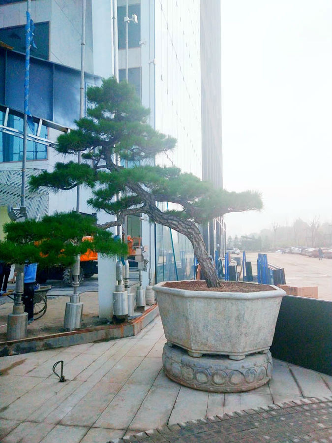 微信图片_20191108131530.jpg